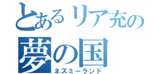 とあるリア充の夢の国（ネズミーランド）