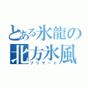 とある氷龍の北方氷風（ブリザード）