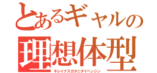 とあるギャルの理想体型（キレイナスガタニダイヘンシン）