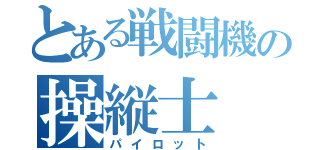 とある戦闘機の操縦士（パイロット）