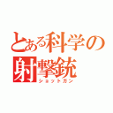 とある科学の射撃銃（ショットガン）