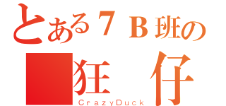 とある７Ｂ班の瘋狂鴨仔（ＣｒａｚｙＤｕｃｋ）