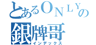 とあるＯＮＬＹの銀牌哥（インデックス）