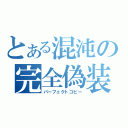 とある混沌の完全偽装（パーフェクトコピー）