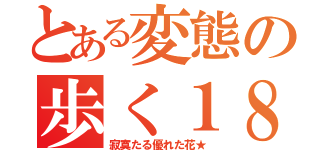 とある変態の歩く１８禁（寂寞たる優れた花★）