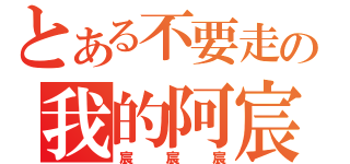 とある不要走の我的阿宸（宸宸宸）