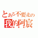 とある不要走の我的阿宸（宸宸宸）