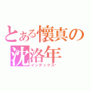 とある懷真の沈洛年（インデックス❤）