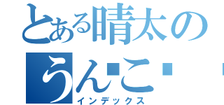 とある晴太のうんこ💩（インデックス）