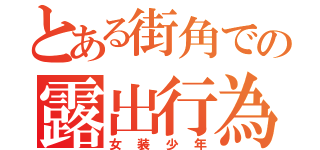 とある街角での露出行為（女装少年）