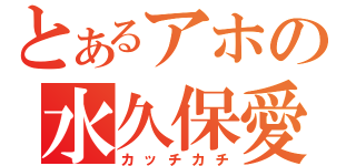 とあるアホの水久保愛（カッチカチ）