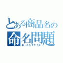 とある商品名の命名問題（ネーミングクイズ）