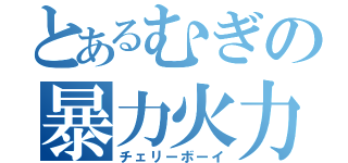 とあるむぎの暴力火力（チェリーボーイ）