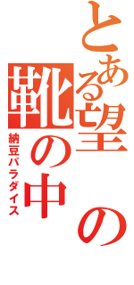 とある望の靴の中（納豆パラダイス）