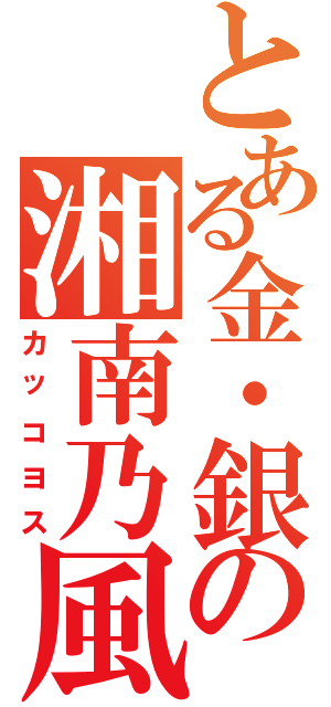 とある金・銀の湘南乃風（カッコヨス）