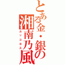 とある金・銀の湘南乃風（カッコヨス）