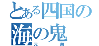 とある四国の海の鬼（元親）