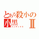 とある殺小の小黑Ⅱ（インデックス）