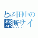 とある田中の禁断サイズ（ちっさっ！）