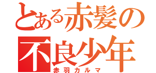 とある赤髪の不良少年（赤羽カルマ）