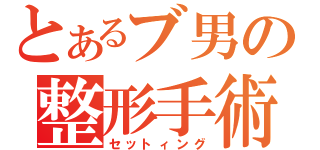 とあるブ男の整形手術（セットィング）