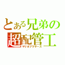 とある兄弟の超配管工（マリオブラザーズ）