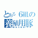 とある６組の養殖用豚（長谷川数馬）