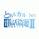 とあるカルトの電話盗聴Ⅱ（前科３０犯）