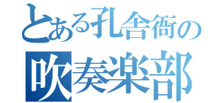 とある孔舎衙の吹奏楽部（）