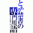 とある禁書の専門用語（テクニカルターム）