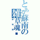 とある蘇南の雑草魂（野球部）