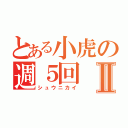 とある小虎の週５回Ⅱ（シュウニカイ）