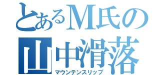 とあるＭ氏の山中滑落（マウンテンスリップ）