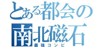 とある都会の南北磁石（最強コンビ）