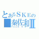 とあるＳＫＥの 秦佐和子Ⅱ（Ｔｅａｍ Ｋ）