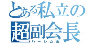 とある私立の超副会長（ハーレム王）