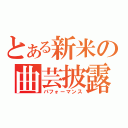 とある新米の曲芸披露（パフォーマンス）