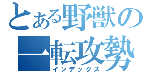 とある野獣の一転攻勢（インデックス）