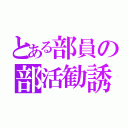 とある部員の部活勧誘（）