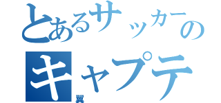 とあるサッカー部ののキャプテン（翼）