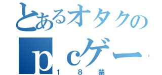 とあるオタクのｐｃゲーム（１８禁）