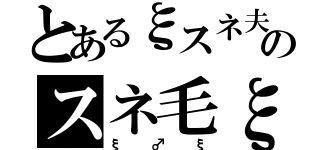 とあるξスネ夫のスネ毛ξ（ξ♂ξ）