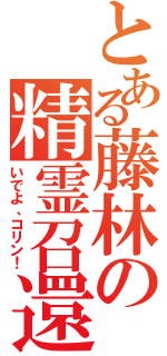 とある藤林の精霊召還（いでよ、コリン！）