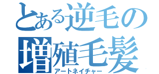 とある逆毛の増殖毛髪（アートネイチャー）