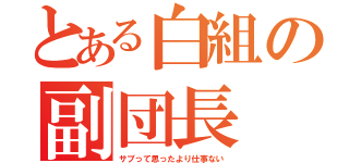 とある白組の副団長（サブって思ったより仕事ない）