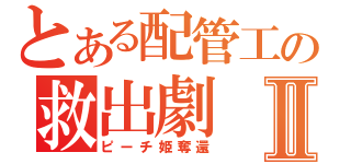 とある配管工の救出劇Ⅱ（ピーチ姫奪還）