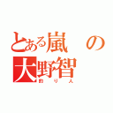 とある嵐の大野智（釣り人）