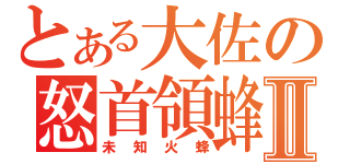 とある大佐の怒首領蜂Ⅱ（未知火蜂）