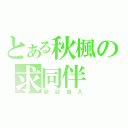 とある秋楓の求同伴（歡迎加入）