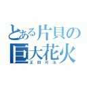 とある片貝の巨大花火（正四尺玉）